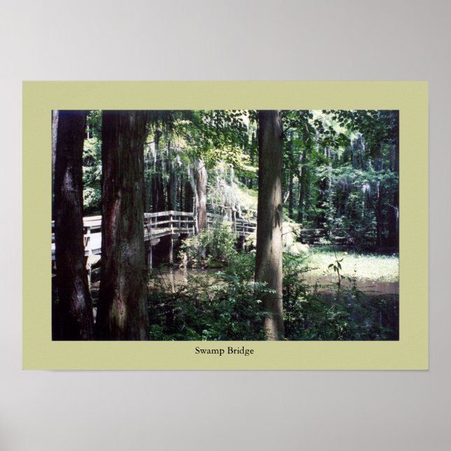 Pôster Ponte Swamp (Frente)