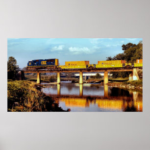 Poster Ponte Tanglewood