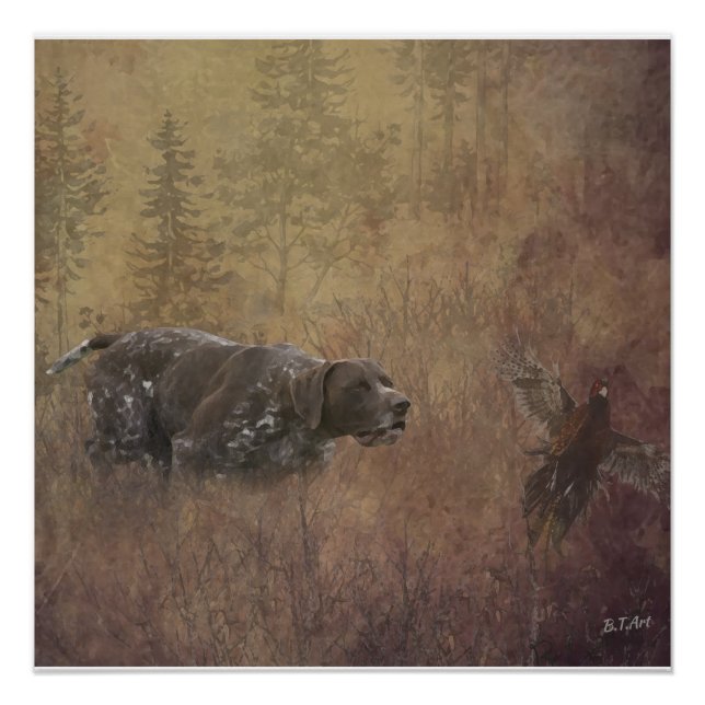 Pôster Ponteiro alemão Shorthired (Frente)