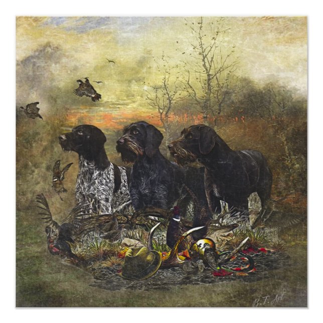 Pôster Ponteiro alemão Wirehaired (Frente)