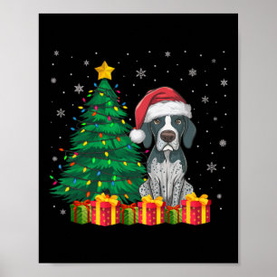 Poster Ponteiro Inglês Santa Hat Luzes De Natal