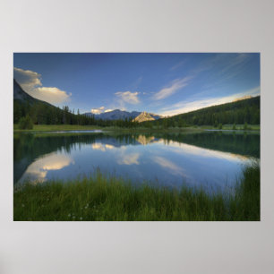 Pôster Pontes em cascata