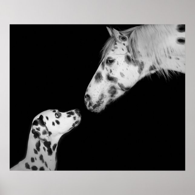 Poster pontilhado (Frente)