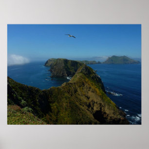 Poster Ponto de Inspiração I da Anacapa nas Ilhas Anglo
