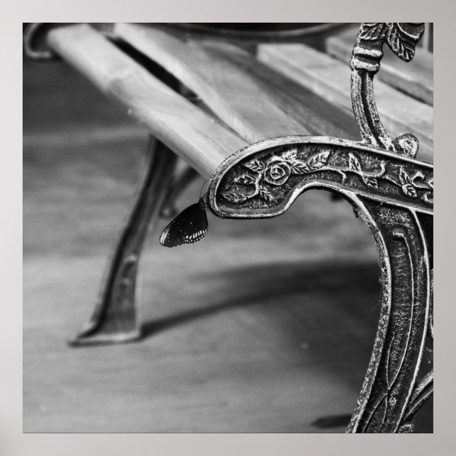 Poster Ponto de repouso perfeito (Frente)