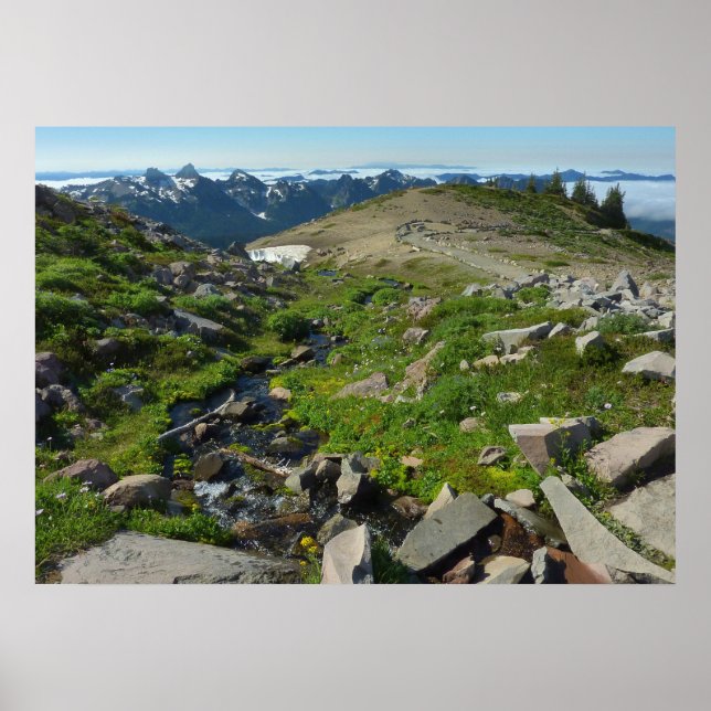 Poster Ponto do Monte Rainier Panorama (Frente)