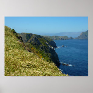 Poster Ponto II da inspiração de Anacapa em ilhas chann