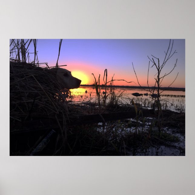 Pôster Ponto no cesto do Arkansas Duck (Frente)