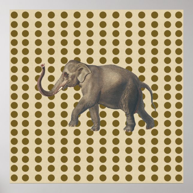 Poster Pontos de Moda de Especiarias Curry com Elefante (Frente)