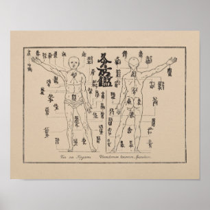Pôster Pontos de Moxa na acupunctura japonesa Moxibustion