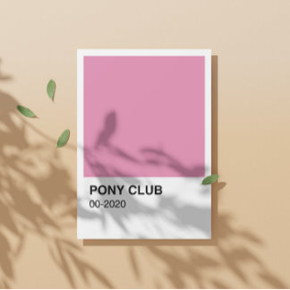 Pôster Pony Club Song Pink Color - Fronteira Branca