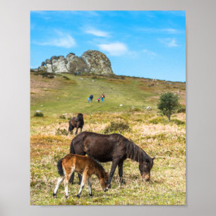 Poster Pony Haytor rock no Parque Nacional de Dartmoor De