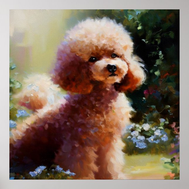 Poster Poodle (Frente)
