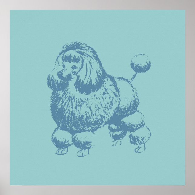 Poster Poodle (Frente)