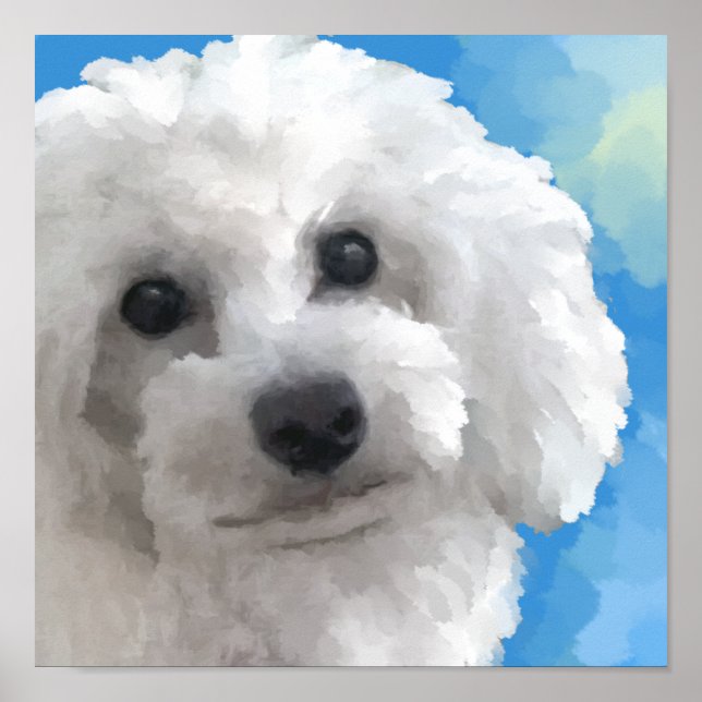 Poster poodle (Frente)
