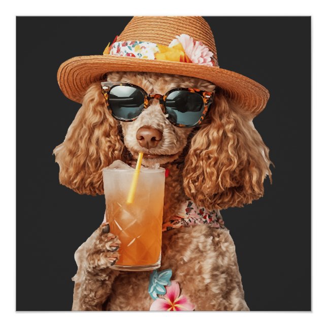 Pôster Poodle (Frente)