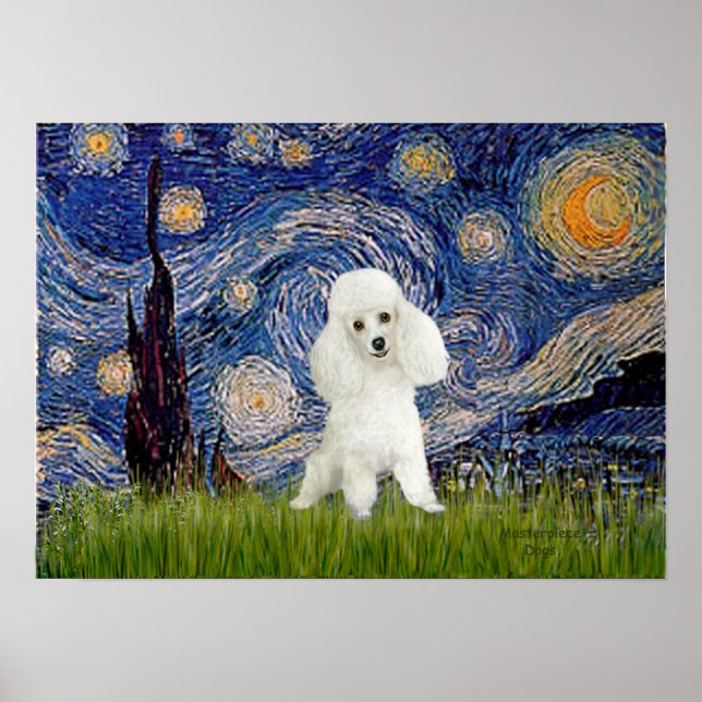 Pôster Poodle (14W) - Noite Estrelada (Frente)
