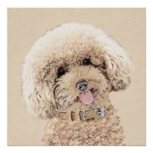 Pôster Poodle (Brinquedo, Miniatura) Pintura Original De 
