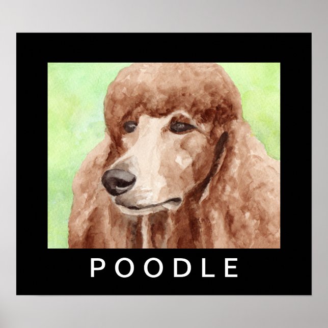 Poster Poodle de Aquarela (Frente)