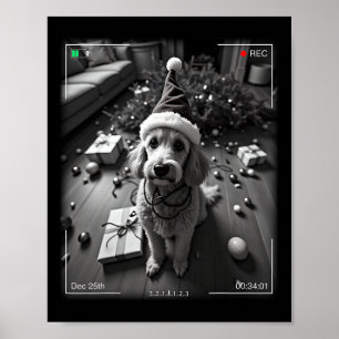 Poster Poodle de Natal Flagrado pela Câmera