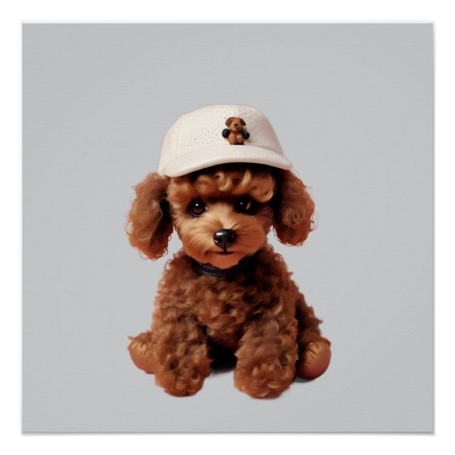 Pôster Poodle de Xícara com Chapéu (Frente)