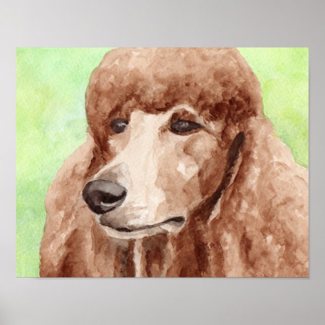 Poster Poodle em Aquarela (Frente)