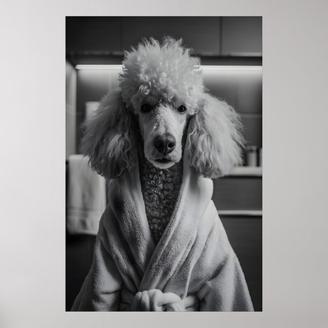 Poster Poodle in Bathrobe Art Print, Funny Dog Bathroom (Frente)