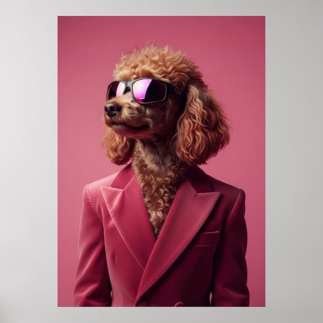 Poster Poodle in Suit and Sunglasses (Frente)
