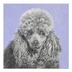 Pôster Poodle Miniature Toy Silver Cinza Blue Dog Art