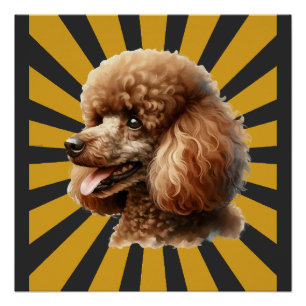 Pôster Poodle Padrão Marrom Retro Sunburst