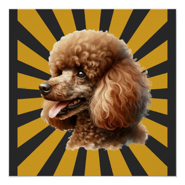 Pôster Poodle Padrão Marrom Retro Sunburst (Frente)