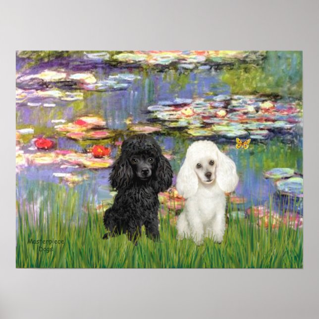 Pôster Poodle Pair (Black + White) - Lilies 2 (Frente)