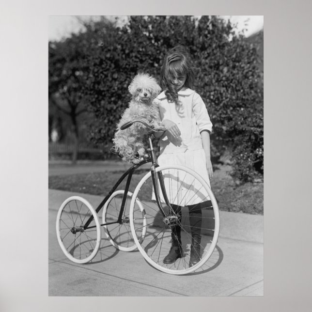 Pôster Poodle Perch, 1913 (Frente)