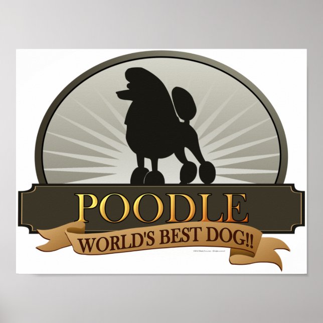 Poster Poodle.png (Frente)