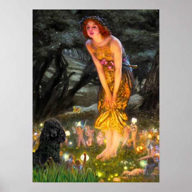 Poster Poodle(preto 1)-MidEve (Frente)