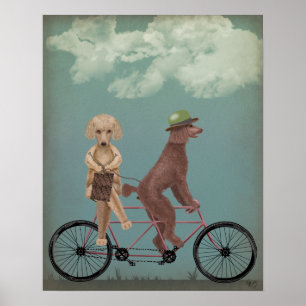 Poster Poodle Tandem