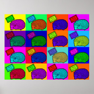 Pôster Pop art colorido Popart do ouriço livre dos