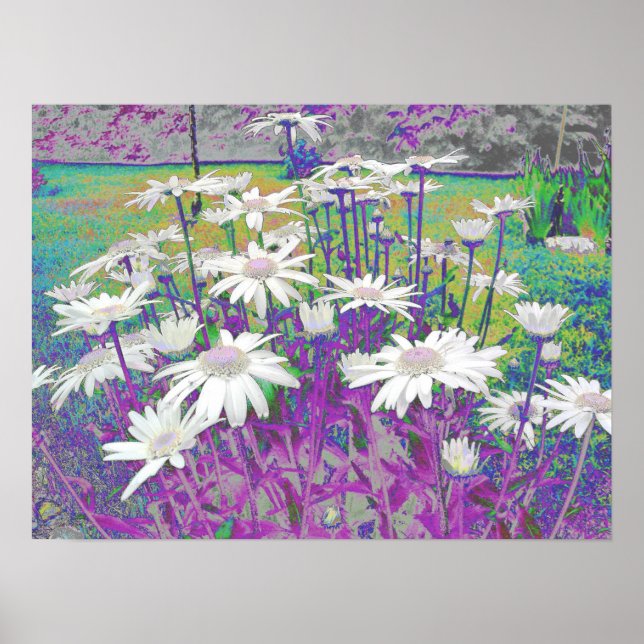 Poster Pop Art Daisies (Frente)
