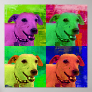 Poster Pop art de Jack Russel Terrier