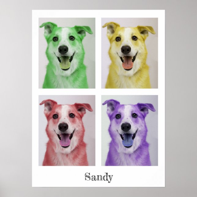 Poster Pop Art Sandy (Frente)