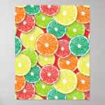 Poster Pop de fatias de fruta Citrus art 2<br><div class="desc">Padrão vetorial desenhado à mão com várias fatias de fruta de citrinos</div>