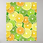 Poster Pop de fatias de fruta Citrus art 3<br><div class="desc">Padrão vetorial desenhado à mão com várias fatias de fruta de citrinos</div>