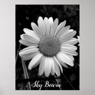 Poster pop de margarida