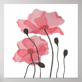 Poster Poppies