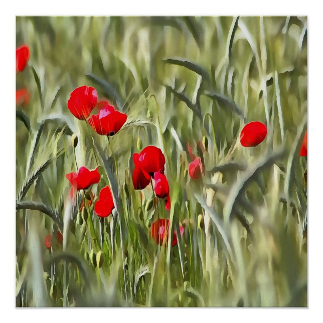 Pôster Poppies de Milho (Frente)