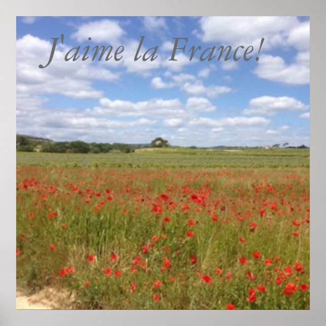 Pôster Poppies franceses no sul da França (Frente)
