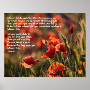 Poster Poppies Vermelhos, Poema Dos Campos Da Flandres