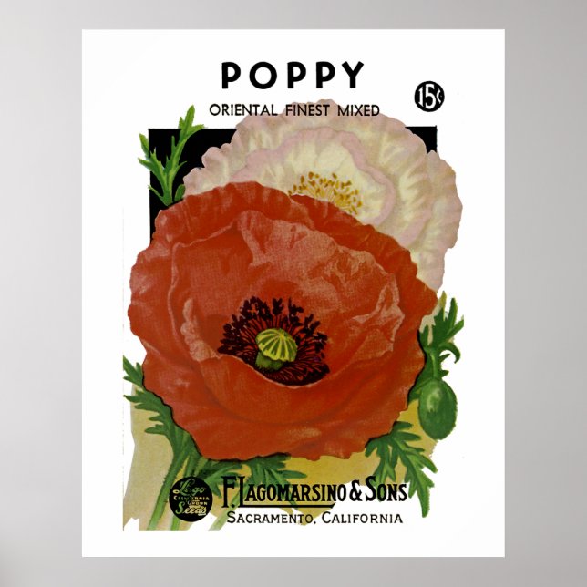 Poster Poppy (Frente)