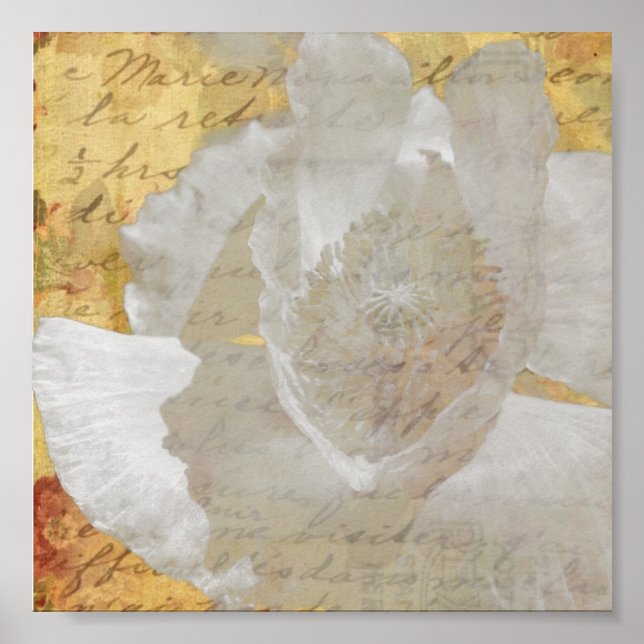 Poster Poppy (Frente)