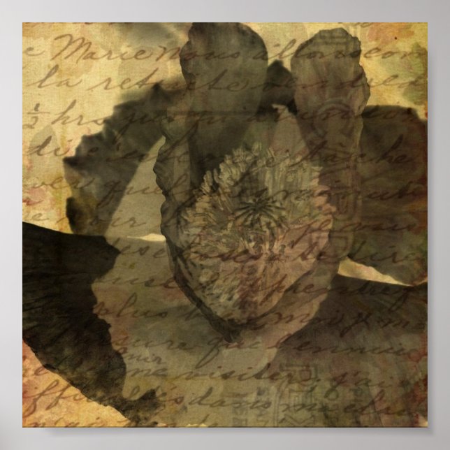 Poster Poppy 3 (Frente)